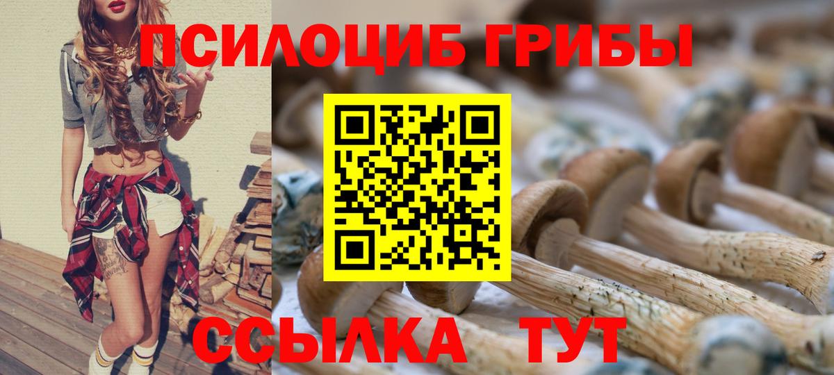 Галлюциногенные грибы MAGIC MUSHROOMS  Вход с VPN  Туймазы 